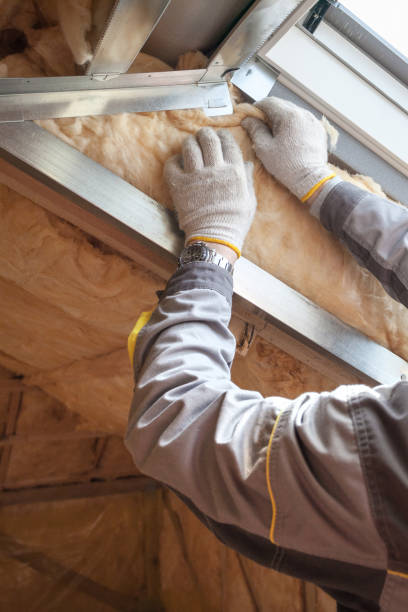 Best Insulation Maintenance and Repair in Cornell, WI
